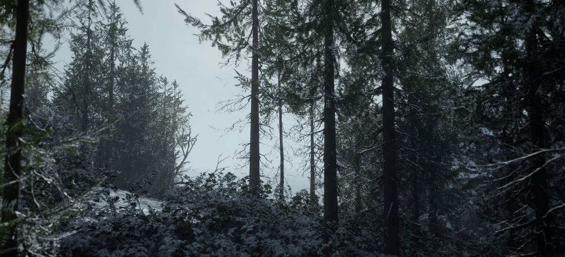 Concept art for Thorgal game - a dense forest covered with snow 